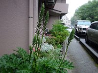 DSC05642