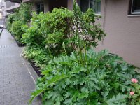 DSC05645