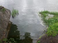 DSC05658