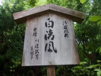 RIMG0542
