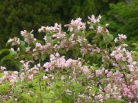 RIMG0545