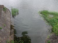 DSC05689