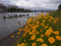 RIMG0553