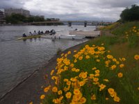 RIMG0554