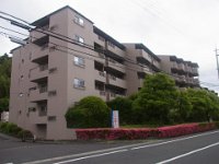 RIMG0559