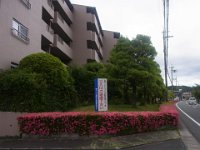 RIMG0560
