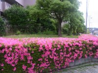 RIMG0561