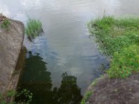 DSC05702