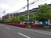 DSC05712