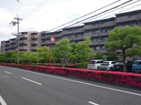 DSC05713