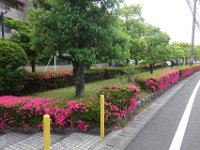 DSC05714