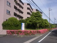 RIMG0572