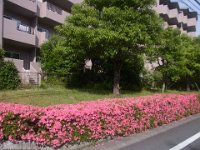 RIMG0573