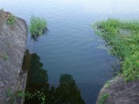 DSC05718