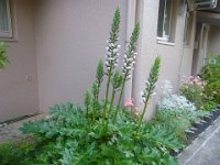RIMG0587
