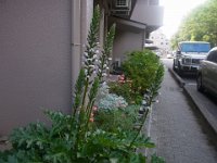 RIMG0588