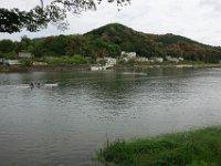 DSC05781