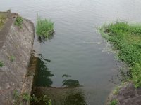 DSC05782