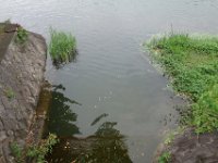 DSC05801