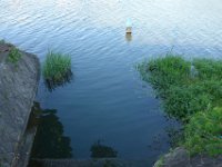 DSC05819
