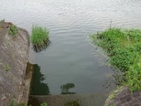 DSC05845