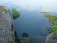 DSC05865