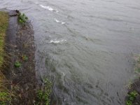 DSC05924