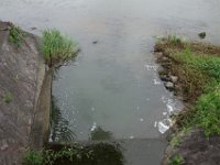DSC05951