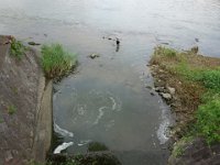DSC05968