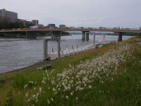 RIMG0716