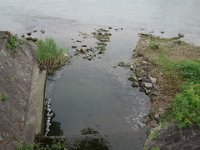 DSC06004