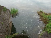 DSC06049