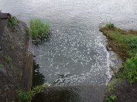 DSC06082