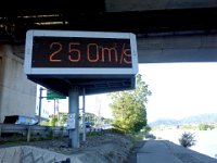 DSC06115XX