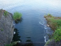 DSC06129