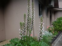 DSC06153