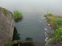 DSC06166