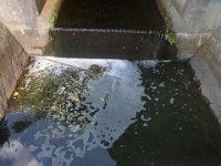 RIMG0761
