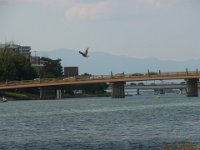 RIMG0763