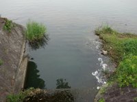 DSC06181