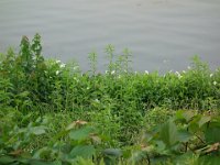 DSC06182