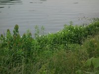 DSC06184