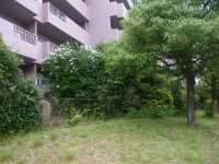 RIMG0784