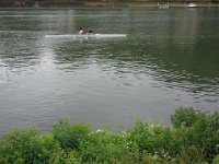DSC06192