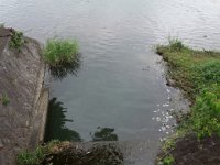 DSC06202