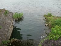 DSC06246