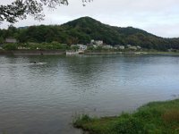 DSC06290