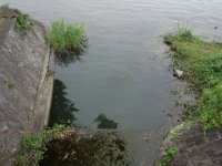 DSC06291