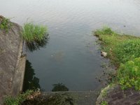 DSC06308