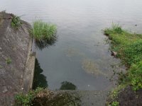 DSC06324